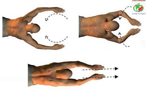 Kỹ thuật tay bơi ếch bao gồm nhiều thao tác cơ bản